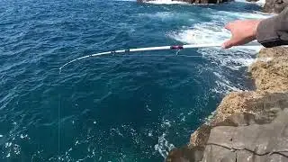 07/10/25 fishing in Eden NSW &ldquo; port jackson shark&rdquo;