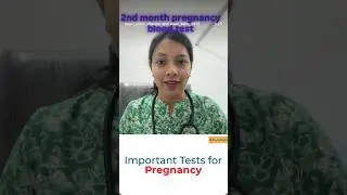 2nd Month Pregnancy Blood Test Tips 