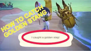 HOW TO CATCH A GOLDEN STAG : ACNH