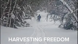 Breaking trails