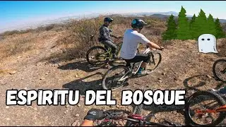 Espíritu del Bosque, La Quebradora (MTB HD)