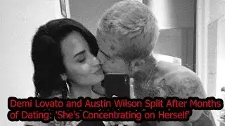 Demi Lovato and Austin Wilson Split After Months of Dating: 'She's Concentrating on Herself'