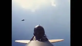 Bird Attacks RC Plane