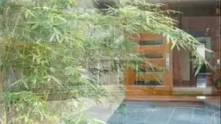 View our St. Helena Vacation Rental Houses and Holiday Homes