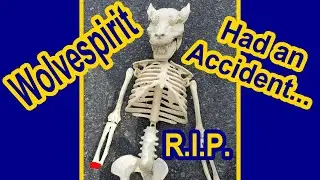 RIP Wolvespirit