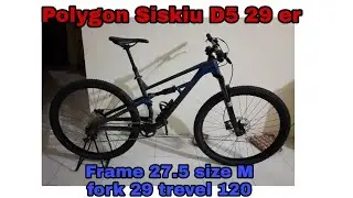 riview polygon sisikiu d5 ban 29
