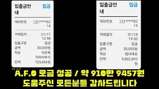 어려운 유기견,유기묘 쉼터 A.F.O(올포원) 돕기 모금 성공 /26년 1월 18일 저녁 소통 라이브 방송 / 모든분들 감사드립니다