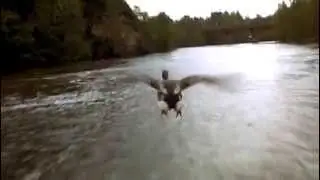 Winged Migration (Trailer)