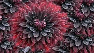 Frequency for Restless legs Syndrome - Cure Healing Sound Therapy