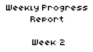Weekly Progress Report. Week 2.