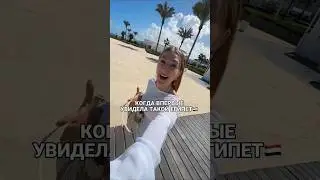 Новый курорт El Alamein