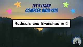 (CA04) Radicals and Branches