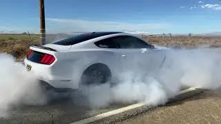 Shelby BurnOut! GT350 Voodoo 5.2