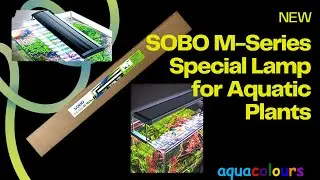 Step-by-Step Guide to Boosting Growth and Beauty with SOBO M Series Aquarium Light....