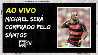SANTOS RECEBE PROPOSTA DE COMPRA/ ESCALAÇÃO/ MICHAEL E  GABRIEL MENINO