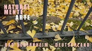 Autumn Magic in Bad Sobernheim: Stunning Fall Colors and Scenic Walks #Nature #TravelVlog #Germany