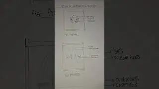 karyokinesis diagram of metophase and prophase #class11 #biology #practical