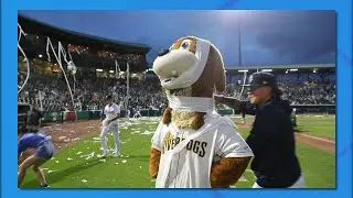 Summer Fun with The Charleston Riverdogs 