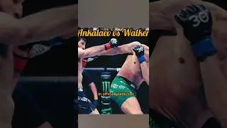 Why Magomed Ankalaev beats Johnny Walker! #savagegentlemen #anakalevvswalker #mainevent #ufc #mma