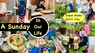 ഞായറാഴ്ച ദിവസം👏Mindful Morning Routine of Indian Mom|Indoor Plant Market🌿|Day In My Life Malayalam