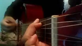 Kızıl Karanfiller