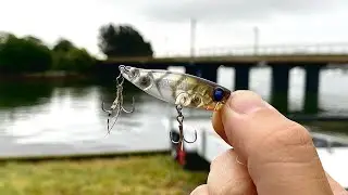 Topwater, Soft Plastics, and Blades | Bream fishing sydney