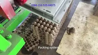 Paper Egg Tray Machine in China | Egg Carton Machine with Low Cost #eggtraymachine