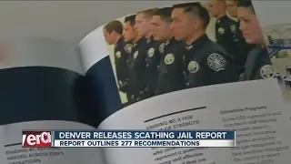 Denner releases scathing jail report