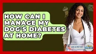 How Can I Manage My Dog's Diabetes At Home? - Ask A Pet Vet