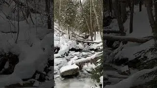 Stream crossing at Tecumseh