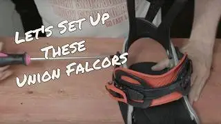 How To Set Up The Union Falcor Bindings