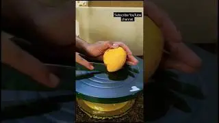 Royal Easy kon Mango cake 🎂#shorts #shortsfeed #shortvideo #youtubechanne #cakeideas #trendingshor
