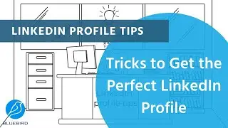 LinkedIn Profile Tips - Tricks to Get the Perfect LinkedIn Profile | Bluebird