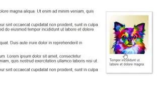 CSS Webkit