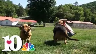 Two East TN companies donate HVAC unit for bloodhound rescue
