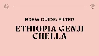 Brew Guide - Ethiopia Genji Chella Filter