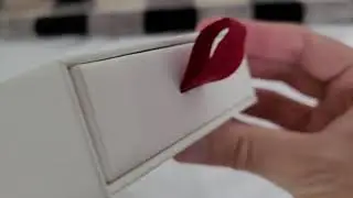 Ernest Wright Turton Kitchen Scissors unboxing