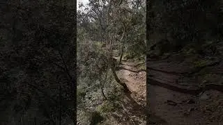 Trail at Jumping Creek with view of Yarra River