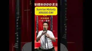 Promise,listen to this music performed by Sunrise Melody XR6000 EWI