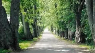 Discover Freeport, Illinois