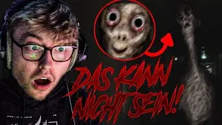 Die ABNORMALSTEN Videos im INTERNET!