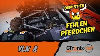 VLN 8 | Dem Stier fehlen Pferdchen | GTronix360&deg; Team mcchip-dkr