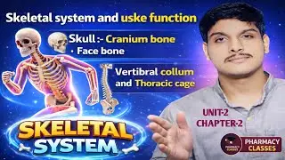 Skeletal System in Hindi | Functions, Skull, Vertebral Column & Thoracic Cage | Pharmacy