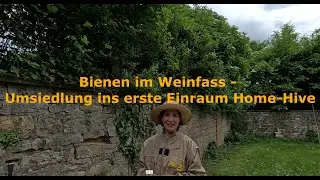 Bienen im Weinfass - Umsiedlung ins erste Einraum Home Hive