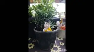 My garden table tour😁😜.. Table top plants..