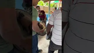 Maguindanao agong city Mapangal 