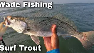 Surf Trout и Mac Strap