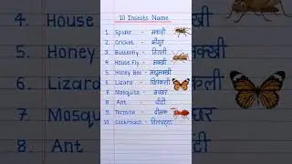10 Insects Name in English and Hindi | Insects Name | कीड़े मकोड़े के नाम #shorts