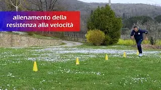 Allenamento della resistenza alla velocità
