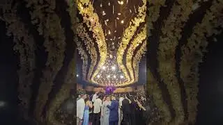 Rave Lovers Will Love This Wedding Ceiling!
